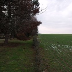 Kistótfalu